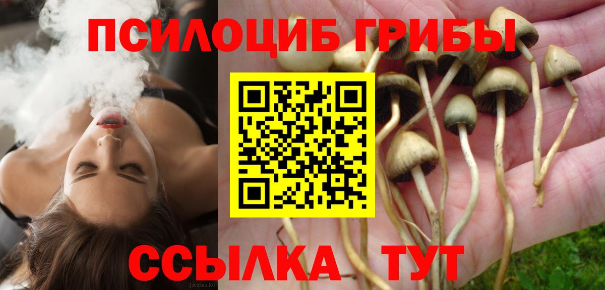 Галлюциногенные грибы MAGIC MUSHROOMS  Вход с VPN  Псилоцибиновые грибы мухоморы  Заводоуковск 